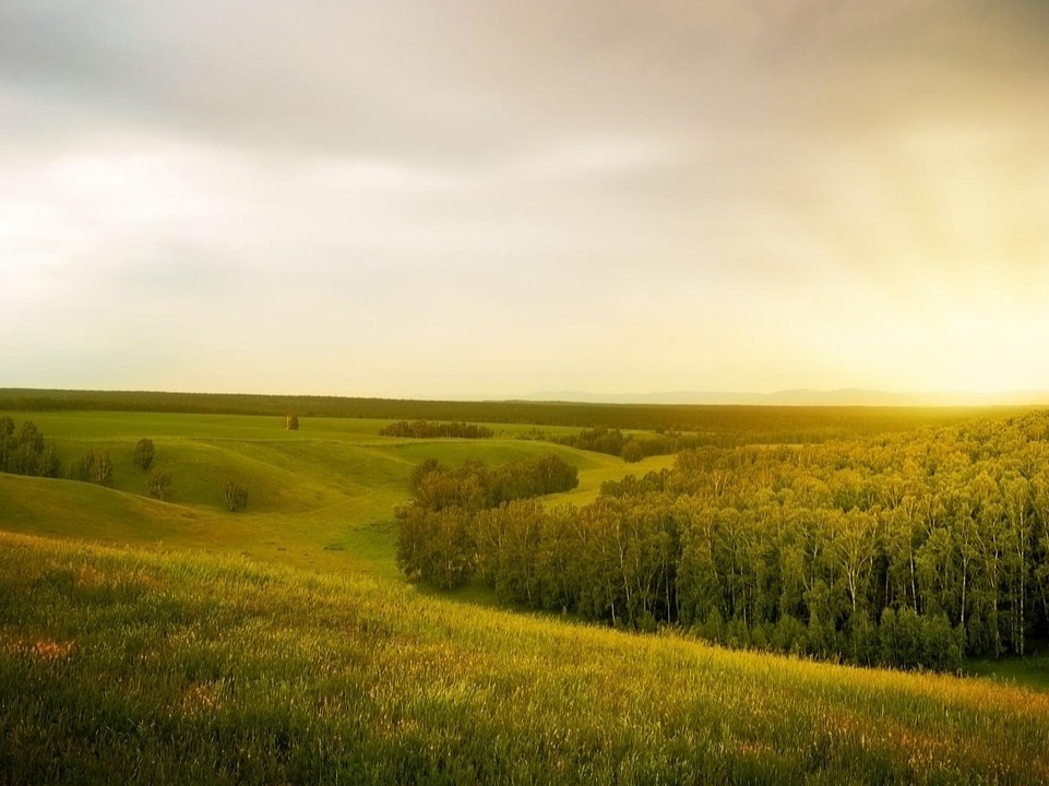 Wandel beobachten ohne Deutung